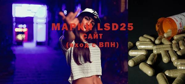 шишки Белоозёрский