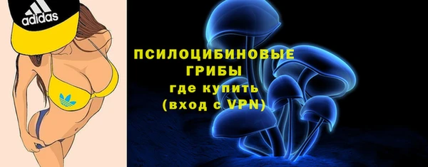 твердый Богородск