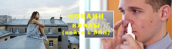 шишки Белоозёрский
