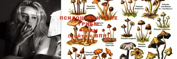 мяу мяу кристалл Богородицк