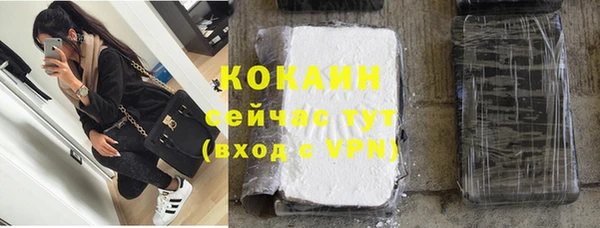 твердый Богородск