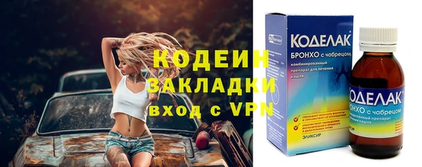 шишки Белоозёрский
