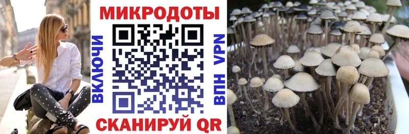 Псилоцибиновые грибы ЛСД  Белёв 